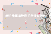 热门行业排行榜:现在中国最热门的行业是什么？