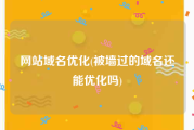 网站域名优化(被墙过的域名还能优化吗)