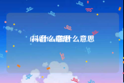 feed什么意思:抖音feed流什么意思