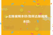 pr去除视频水印(如何去除视频水印)