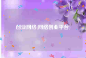 创业网络(网络创业平台)