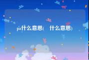 pa什么意思(掱什么意思)