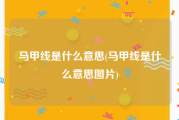 马甲线是什么意思(马甲线是什么意思图片)