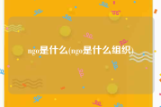 ngo是什么(ngo是什么组织)