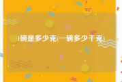1磅是多少克(一磅多少千克)