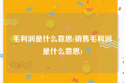毛利润是什么意思(销售毛利润是什么意思)