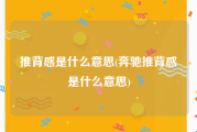 推背感是什么意思(奔驰推背感是什么意思)