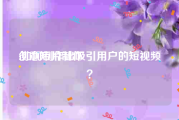 创意短片制作
:如何制作出吸引用户的短视频？