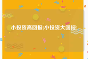 小投资高回报(小投资大回报)