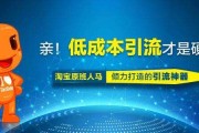 学习淘宝推广(什么是淘宝大学专门针对网店推广的培训平台)