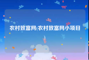 农村致富网(农村致富网小项目)