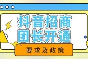 招商团长(拼多多招商团长)