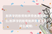形声字的形旁和声旁各表示什么(形声字的形旁和声旁各表示什么视频)