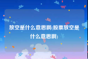 放空是什么意思啊(股票放空是什么意思啊)
