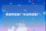 商城网络推广(专业网络推广)