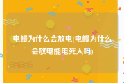 电鳗为什么会放电(电鳗为什么会放电能电死人吗)