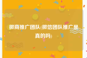 微商推广团队(微信团队推广是真的吗)