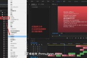 pr视频去水印(pr视频去水印后水印模糊)
