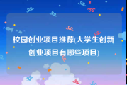 校园创业项目推荐(大学生创新创业项目有哪些项目)