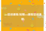 seo培训课程(短期seo课程培训课程)