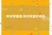 农村致富路(农村致富好项目)