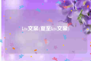 ktv文案(夏至ktv文案)