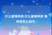 什么是预科班(什么是预科班 预科班怎么招生)