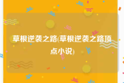 草根逆袭之路(草根逆袭之路顶点小说)