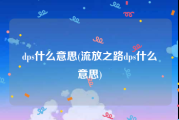 dps什么意思(流放之路dps什么意思)