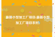 最新小型加工厂项目(最新小型加工厂项目农村)