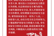 国家安全宣传视频
:2020年4月15日是第5个国家安全日，你所在的学校怎样组织对应活动的？