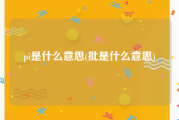 pi是什么意思(批是什么意思)
