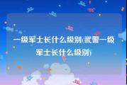 一级军士长什么级别(武警一级军士长什么级别)