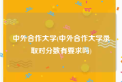 中外合作大学(中外合作大学录取对分数有要求吗)