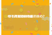 电子商务的核心是:什么才是农村电商的核心？