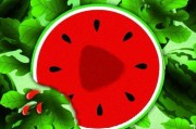 西瓜视频网(西瓜视频网址app怎么查)