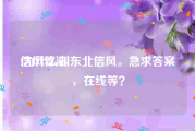 信风算法:为什么叫东北信风。急求答案，在线等？