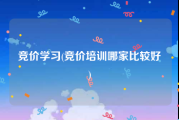 竞价学习(竞价培训哪家比较好)