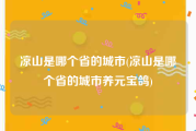 凉山是哪个省的城市(凉山是哪个省的城市养元宝鸽)