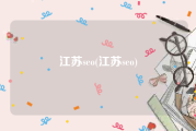 江苏seo(江苏seo)