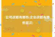 公司战略有哪些(企业战略有哪些层次)