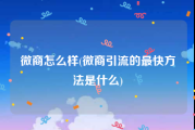 微商怎么样(微商引流的最快方法是什么)