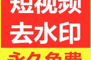 短视频下载无水印(短视频下载无水印网站)