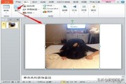 图文生成视频
:怎样把gif图片转换成视频？