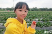 妇联宣传视频
:草莓采摘园应该如何宣传？