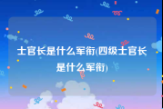 士官长是什么军衔(四级士官长是什么军衔)