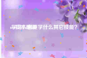 seo技术培训:学习seo需要学什么其它技能？