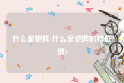 什么是矩阵(什么是矩阵的特征值)