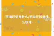 手淘旺信是什么(手淘旺信是什么软件)