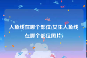 人鱼线在哪个部位(女生人鱼线在哪个部位图片)